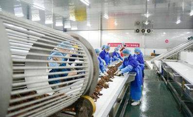 科技賦能鮮味體驗 每日優鮮小龍蝦節開啟，超聲技術驅動生鮮開發新篇章